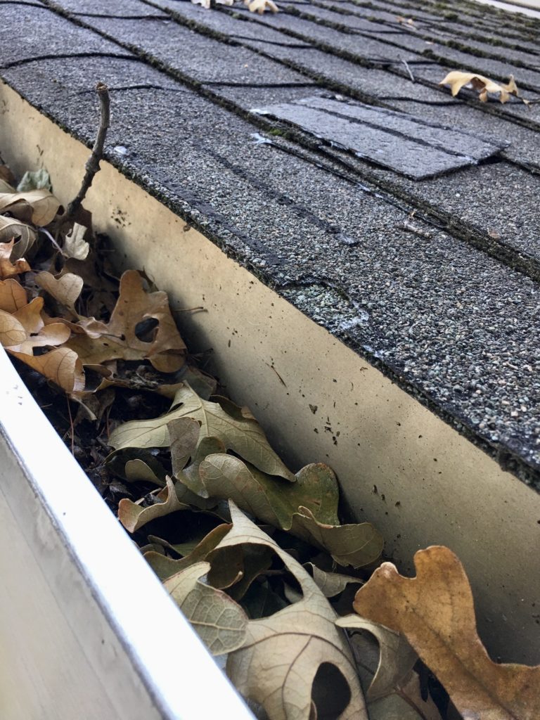 Dried up leaves in a gutter in the fall